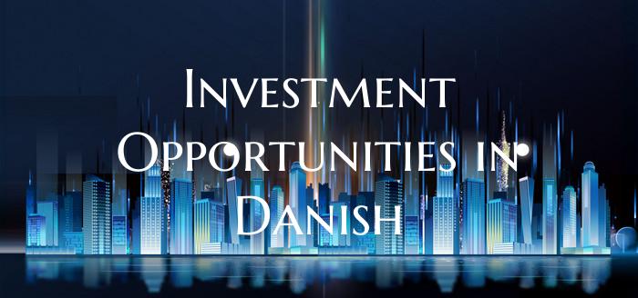 Investment Opportunities in Danish